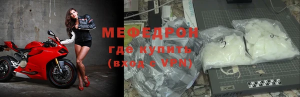 сатива Беломорск