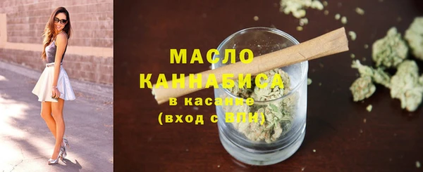 сатива Беломорск