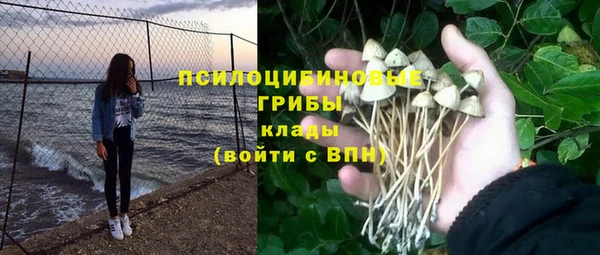 скорость Белокуриха