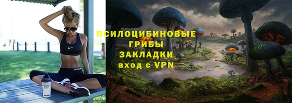 сатива Беломорск